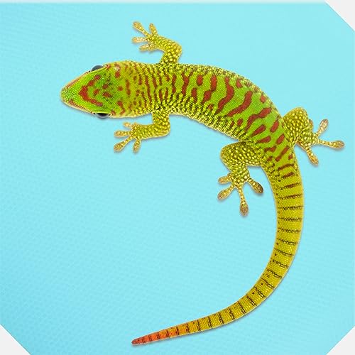 Abaodam Terrarium Substrate Reptile Carpet Liner Soft Bedding for Snakes Tortoises Lizards Durable Washable Compact Mat for Reptile Terrariums
