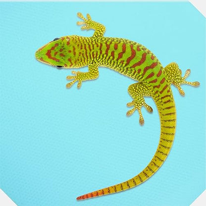Abaodam Terrarium Substrate Reptile Carpet Liner Soft Bedding for Snakes Tortoises Lizards Durable Washable Compact Mat for Reptile Terrariums
