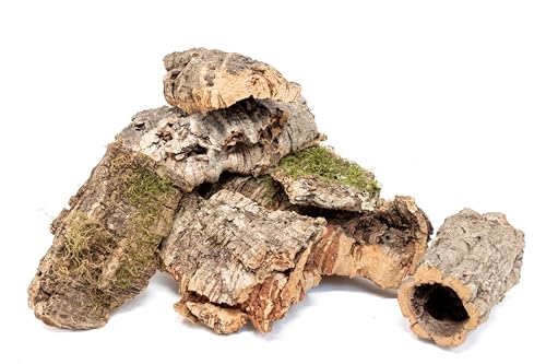 Assorted Virgin Cork Bark for Orchids, Reptiles & Terrariums – Natural Orchid Mounts, Vivarium Décor, Tarantula & Gecko Hides (1lb) - style: 1 lb MIXED CORK 1 LB