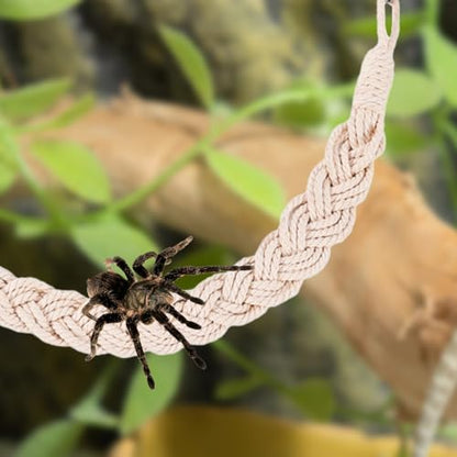 MiOYOOW Hermit Crab Rope Toys, 2PCS Hanging Hermit Crab Vines Toys with Suction Cups, Reptile Tank Terrarium Accessories for Lizards Geckos Snakes Hermit Crabs Spiders