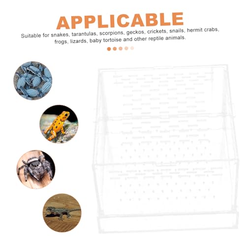 BESPORTBLE Feeding Case Hatching Container Lid for Spider Scorpion Versatile Breeding Box for Reptiles Snails and Habitat for Jumping Spider Tarantula and Reptiles