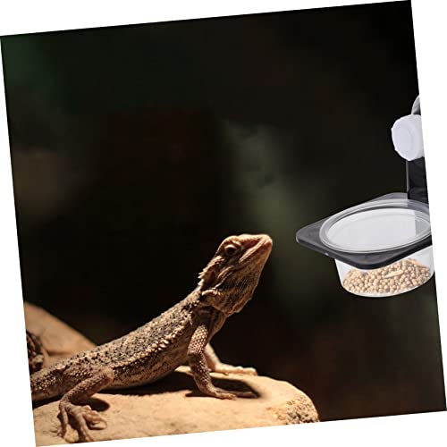 Abaodam 1set Reptile Feeders Double Bowl Design Lizard Water Basin Easy to Clean Feeding Dish for Bearded Dragons Geckos and Frogs