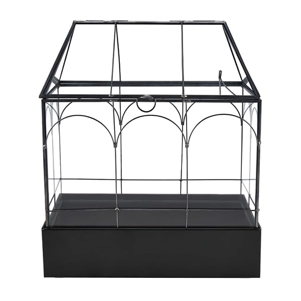 HighFree Large Glass Terrarium with Metal Tray, Glass Greenhouse Terrarium, Succulent Terrarium Kit for Succulents, Cacti, Snails, Spiders, and Miniature Reptiles, Black (Velvet Bottom)