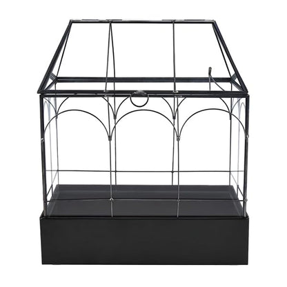 HighFree Large Glass Terrarium with Metal Tray, Glass Greenhouse Terrarium, Succulent Terrarium Kit for Succulents, Cacti, Snails, Spiders, and Miniature Reptiles, Black (Velvet Bottom)