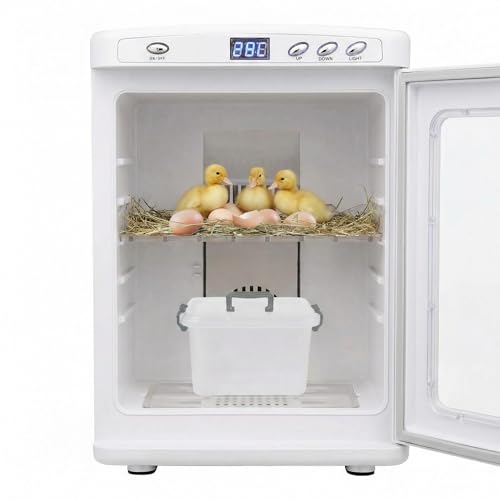 Garvee White Reptile Incubator, 25L Scientific Lab Incubator, Cooling and Heating Temperature 5-60℃ Digital Incubators for Small Reptiles, Eggs, Quail - color: White