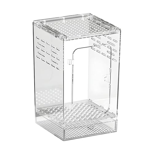 Jumping Spider Enclosure – Acrylic 15x15x25cm | Small Reptile Habitat with Dual-Sided Ventilation | Front-Opening Arboreal Tarantula Tank | Transparent Terrarium for Mantis and Invertebrate Use - color: Large arboreal breeding box