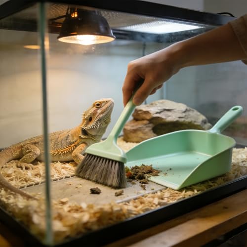 3Pack Mini Bearded Dragon Tank Cleaning Kit - Small Dustpan and Soft Brush Set for Reptile Terrarium, Pet Cage Debris Removal (Mix) - color: mix