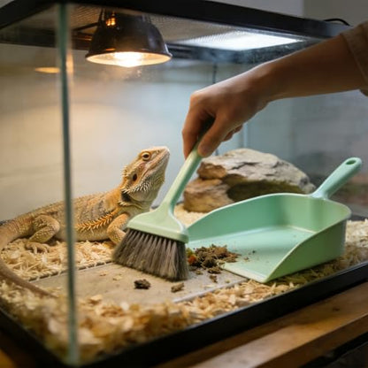 3Pack Mini Bearded Dragon Tank Cleaning Kit - Small Dustpan and Soft Brush Set for Reptile Terrarium, Pet Cage Debris Removal (3 Pack Pink) - color: 3 pack pink