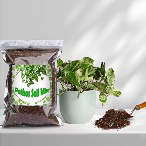 Doter Organic Pothos Soil Mix 2qt, Indoor Plants Potting Mix for All Potted Pothos, Grow Healthy houseplants Indoors - size: 2qt