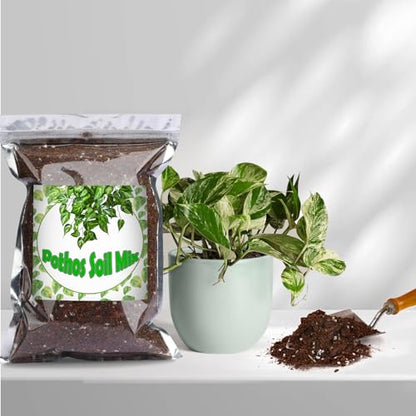 Doter Organic Pothos Soil Mix 2qt, Indoor Plants Potting Mix for All Potted Pothos, Grow Healthy houseplants Indoors - size: 2qt