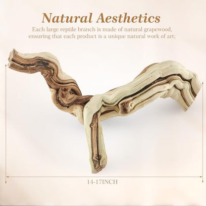 Janinka 14-17" Length Large Wood Reptile Branch for Bearded Dragon Driftwood Reptile Climbing Habitat Decoration for Terrarium Tree Trunk Ornament Gecko Frog Chameleon Spider - size: 14-17"