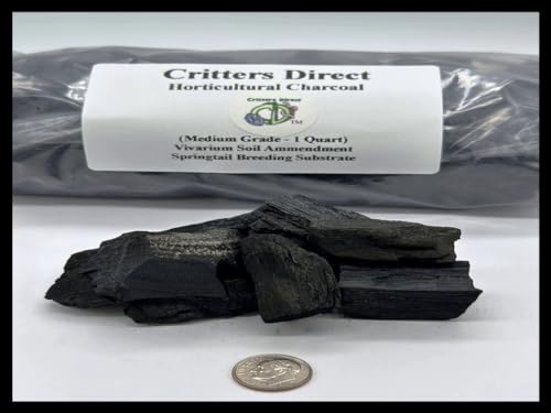 Activated Organic Hardwood Horticultural Charcoal | for Plants, Terrariums and Springtail Breeding Substrate, by Critters Direct (1 Quart (Medium Grade)) - style: 1 Quart (Medium Grade)