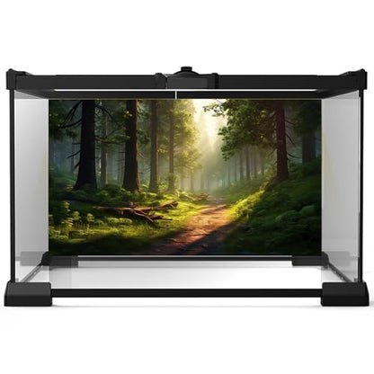 Aquarium Background Winding Dirt Road Verdant Forest Sunlight DancesThrough Towering Trees Terrarium Backdrop Nature Landscape Fish Tank Background Reptile Habitat Backdrop Vinyl 24x12in - color: Sunset Green, size: 24(W)x12(H)inches/ 60(W)*30cm(H)