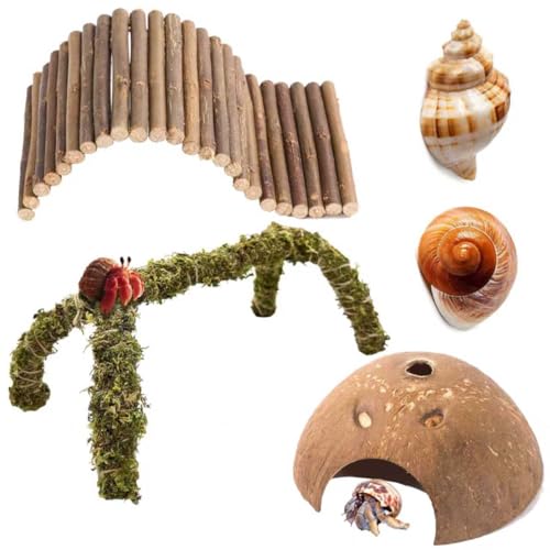 Hermit Crab Accessories – 5PCS Natural Hermit Crab Toys Climbing Bridge, Shells, Coconut Hideout, Moss and Plants for Hermit Crabs Habitat & Reptile Tank Decor - color: A-group -6pcs-wood Bridge
