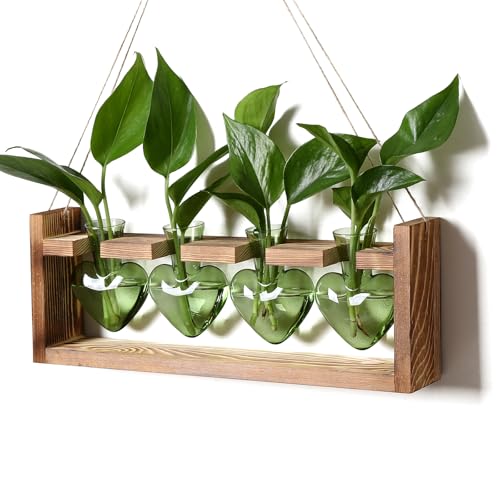 Plant Propagation Stations Heart Plant Terrarium Kit Gift for Women Plant Lover Glass Vases - color: Green