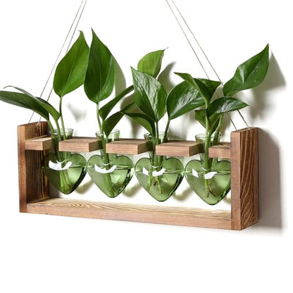 Plant Propagation Stations Heart Plant Terrarium Kit Gift for Women Plant Lover Glass Vases - color: Green