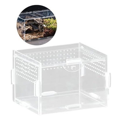 Clear Acrylic Reptiles Tanks with Ventilation Holes Terrarium Box for Small Lizards and Snake Jumping Spiders Watching Reptiles Container Box - size: 8X7X10 vertical