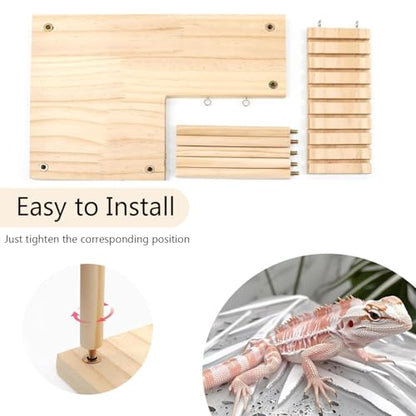 Reptiles Hideout Wooden with Climbing Ramp Bearded Dragon Hide Cave Wood Aquariums & Terrariums Accessories for Bearded Dragons Leopard Geckos Lizards Turtles Hamsters(Large)