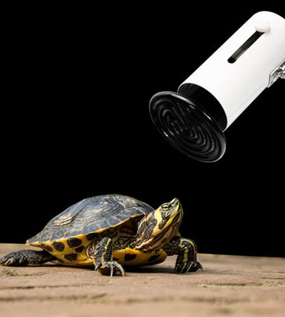 200W Reptile Ceramic Heat Lamp Ceramic Infrared Heat Emitter No Harm No Light Reptile Heat Lamp Bulbs E26 Black Lamp for Pet Brooder Coop Chicken Lizard Turtle Snake Bearded Dragon,2-Pack