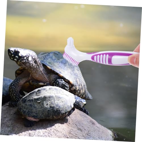 GANAZONO 3pcs Turtle Shell Cleaning Brush Double-Sided Mud for Tortoise and Aquatic Turtles Ergonomic Handle Shell Maintenance Tool - color: Violet