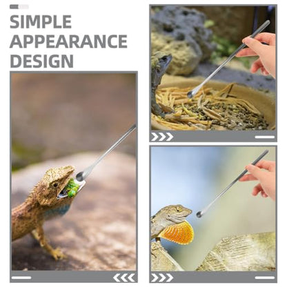 Housoutil 3pcs Lizard Feeding Spoons Handle Pet Food Tools for Bearded Dragon Reptiles Easy to Use Feeding Utensils - color: As Shown