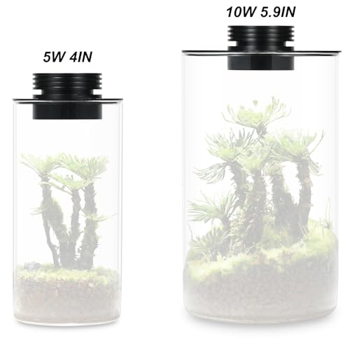 Glass Terrarium Plant Growing Lamp, for Vases Up to 5.9 Inches in Diameter, Light with Timer Auto On/Off, Betta Fish Tank, Indoor Plant Growth, Succulent, Miniature Gardening Landscape (10W 5.9IN) - size: 10W 5.9IN