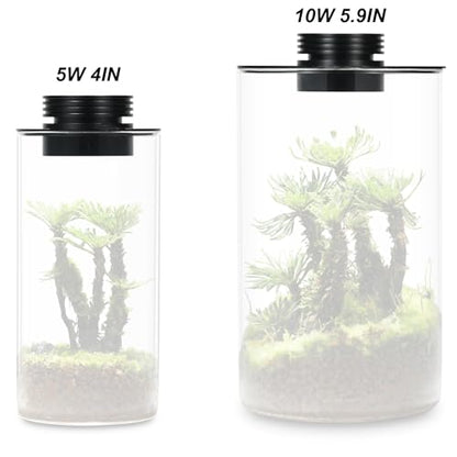 Glass Terrarium Plant Growing Lamp, for Vases Up to 5.9 Inches in Diameter, Light with Timer Auto On/Off, Betta Fish Tank, Indoor Plant Growth, Succulent, Miniature Gardening Landscape (10W 5.9IN) - size: 10W 5.9IN
