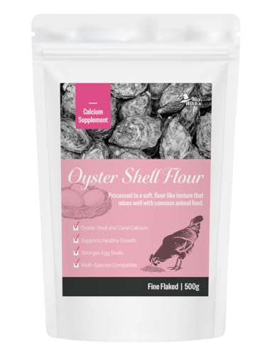 NICE WITCH'S Oyster Shell Flour 1.1 lb (500 g) – Finely Ground Calcium for Chickens, Ducks, Birds, Reptiles, Amphibians & More – Natural Source of Calcium | Korean Oyster Shell Powder/굴껍질 가루