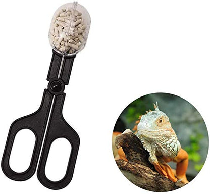 alfyng 15 Inch Reptile Feeding Tongs Long Tweezers Cricket Clamp Bug Scooper, 3 Pcs Stainless Steel Straight and Curved Tweezers Feeder Tool for Snake Lizard Gecko Spider Bearded Dragon - size: 15 inch (Pack of 3)