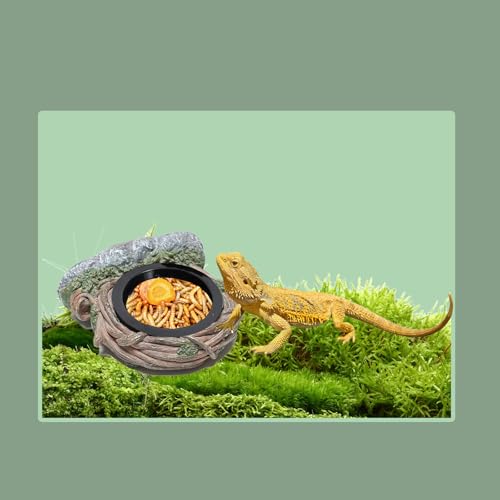 Reptile Feeding Ledge with 2 Cups, Hollow Vine Food Dish & Water Bowl for Bearded Dragon, Gecko, Lizard & Snake – Reptile Tank Accessories for Terrariums - size: Magnetic- Single Feeder
