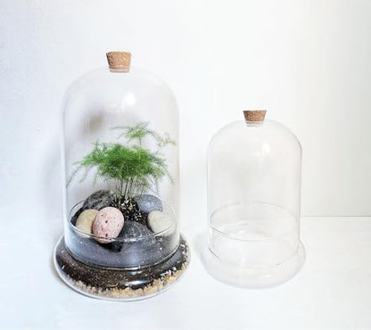 Handblown 10" Glass Terrarium with Opening for Air Flow & Cork Stopper Cloche Style Glass Dome Vivarium Display Case (Large) - size: Large