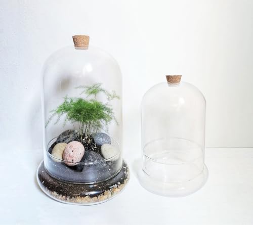 Handblown 7" Glass Terrarium with Opening for Air Flow & Cork Stopper Cloche Style Glass Dome Vivarium Display Case (Small) - size: Small