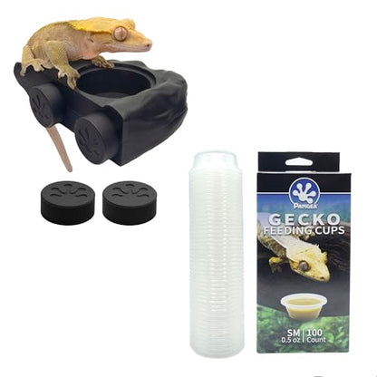 Pangea Black Silicone Gecko Feeding Ledge & 100 .5oz Small Plastic Food & Water Cups Bundle