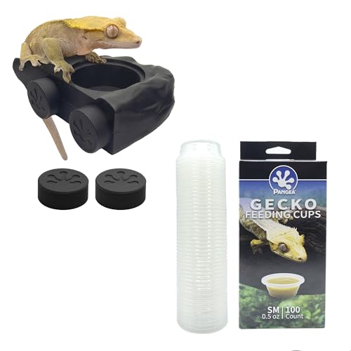 Pangea Black Silicone Gecko Feeding Ledge & 100 .5oz Small Plastic Food & Water Cups Bundle