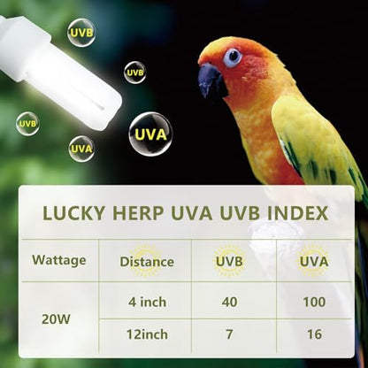 LUCKY HERP UVA UVB Light Bulb for Birds 2.4 UVB 20W Compact Flourescent Lamp for All Kinds Captive Birds