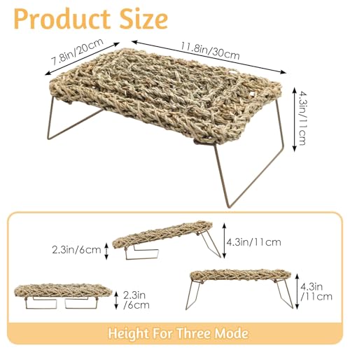 BNOSDM Reptile Cork Bark Substrate and Sea Grass Bed Mat for Lizard, Gecko