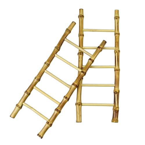 Snake Climbing Ladder Reptile Decor for Terrarium Exercise Enrichment for Ball Pythons Corn Snakes Lizards