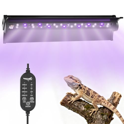UVB Light for Reptiles, 10W HO LED UVB Reptile Light Fixture UVA UVB Lamp Bulb Terrarium Light with Timer and 5 Adjustable Brightness for Bearded Dragon Turtle Snake Crested Gecko Chameleon, 12 Inch - size: 12 Inch