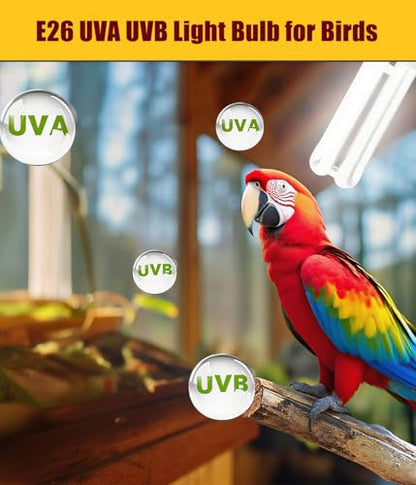 KINGYEENUO E26 UVA UVB Light Bulb for Birds 2.4 UVB 20W Compact Flourescent Lamp for All Kinds Captive Birds, Natural Sunlight Simulation Bird Parrot Light Bulb Compact UVB Lamp Bird Cage UVB Light