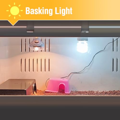 Leoterra 13W 10.0 UVB Bulb – Compact Reptile uvb Light for Bearded Dragon & Green Iguana Hatchlings, Chameleons (Juvenile) & Box Turtles | High Output E26 UVB Lamp(110V) - size: 13w 10.0