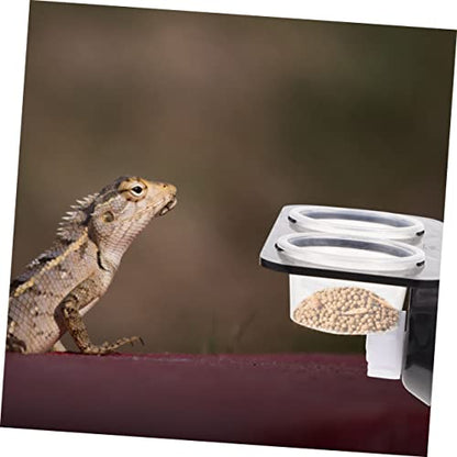TOYANDONA 1Set Reptile Feeding Ledge with Suction Cup Detachable Food Basin Water Feeder Reptile Tank Supplies for Gecko Lizard Frog