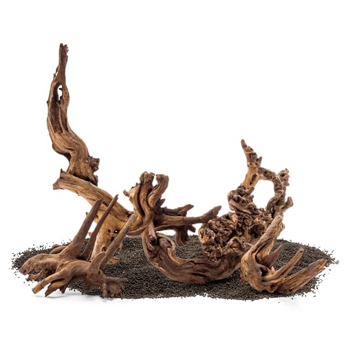 SubstrateSource Natural Aquarium Driftwood for Fish Tanks, Terrarium, Reptile Habitats, Freshwater Aquatic Decor - Small to Large Pieces (Amazon Wood (Small) 4-8", 3 Pieces)