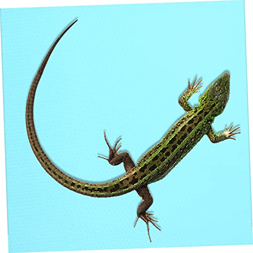 Sosoport Reptile Carpet for Bearded Dragon Snake Lizard Tortoise Leopard Gecko Sphagnum Moss Alternative
