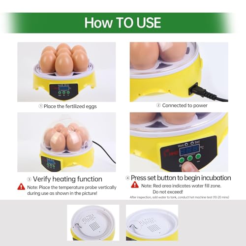 7-Egg Mini Egg Incubator with 360° View, Educational Hatching Kit for Kids, Classrooms & Families, Automatic Temperature Control & Manual Humidity Control, Suitable for Chicken, Duck & Quail Eggs