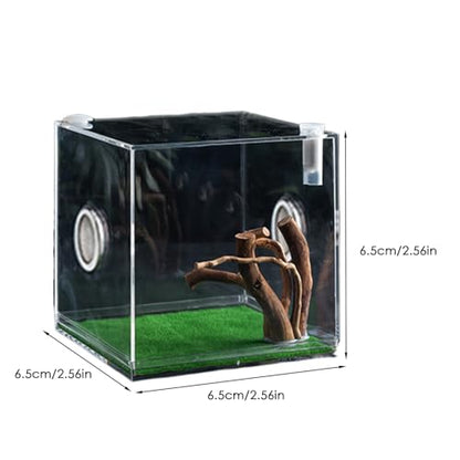 Acrylic Jumping Spider Terrarium - Reptile Growth Clear Container, Clearer View Small Pet Enclosure, Practical Convenient Spacious Habitat, Durable Housing Design Versatile Use | for Snails Lizards Be - color: Ash Green