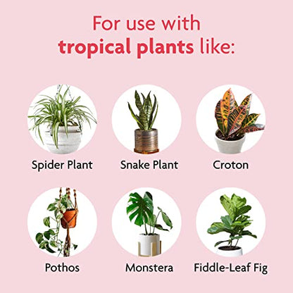Miracle-Gro Tropical Potting Mix, 6 qt. - Growing Media for Tropical Plants Living in Indoor and Outdoor Containers - size: 1 Pack, style: Potting Mix