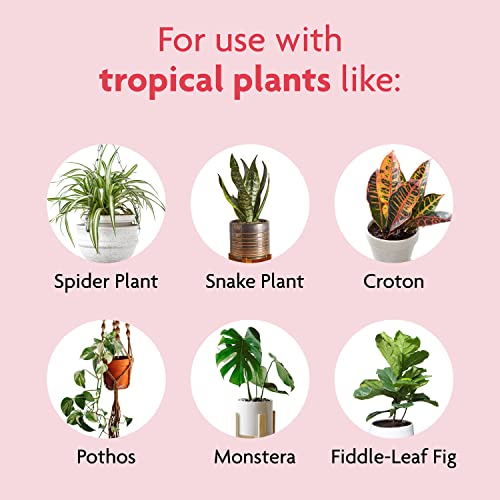 Miracle-Gro Tropical Houseplant Food - Liquid Fertilizer for Tropical Houseplants, 8 fl. oz., 2-Pack - size: 2 Pack, style: Plant Food