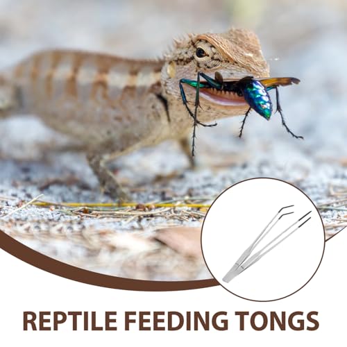SUPVOX 2pcs Reptile Feeding Tongs with Rubber Tips: Stainless Steel Curved Long Tweezers Terrarium Supplies - for Aquarium Snake Tank Accessories