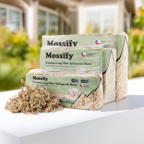 Mossify Premium Sphagnum Moss for Plants 150g, 5.3 Oz - Long Fiber Moss for Plants Indoor, Orchids, Terrariums, Gardening, Reptiles – Moisture Plant Moss for Propagation, Soil & Habitat Bedding - size: 150g (5.3 oz)