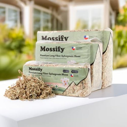 Mossify Premium Sphagnum Moss for Plants 150g, 5.3 Oz - Long Fiber Moss for Plants Indoor, Orchids, Terrariums, Gardening, Reptiles – Moisture Plant Moss for Propagation, Soil & Habitat Bedding - size: 150g (5.3 oz)